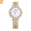 Classique Simple Analogique Quartz Montre-Bracelet Perle Cadran Sliver Couleur Boîtier Étanche Horloge Femmes Cadeaux