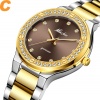 Montres-bracelets diamant pour femmes acier deux tons or montre féminine heure violet quartz montre-bracelet